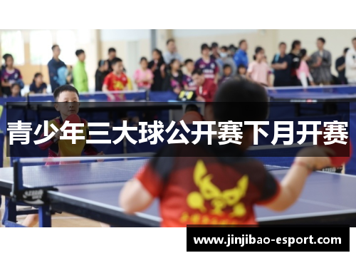青少年三大球公开赛下月开赛